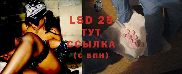 сатива Новодвинск