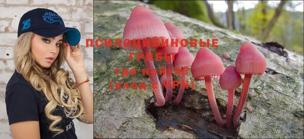 стаф Няндома