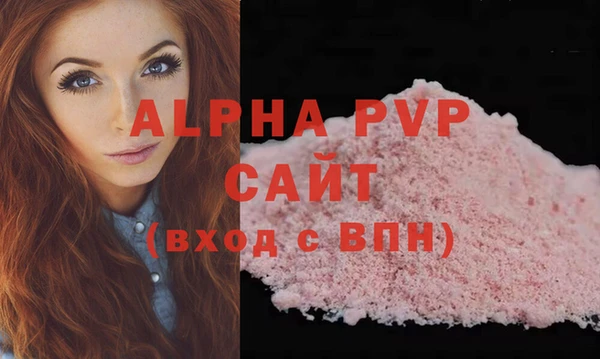 сатива Новодвинск