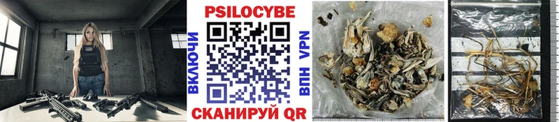 Галлюциногенные грибы Cubensis МЕГА вход Ижевск как найти наркотики