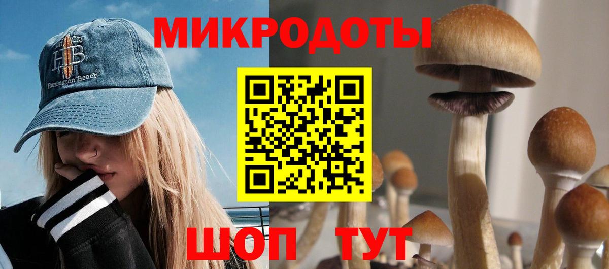 Галлюциногенные грибы Psilocybe  Вход с VPN  Галлюциногенные грибы прущие грибы  Ижевск 